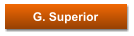 G. Superior