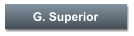 G. Superior